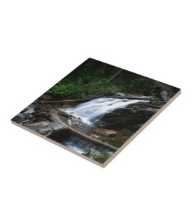Photo Tiles 20 x 25